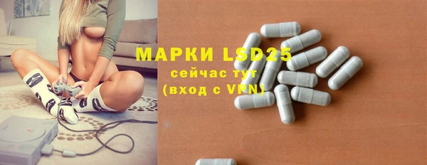 ECSTASY Алзамай