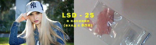 ECSTASY Алзамай