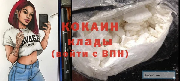 шишки Армянск