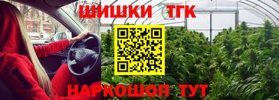 гашик Будённовск