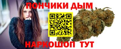 гашик Будённовск