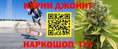 гашик Будённовск