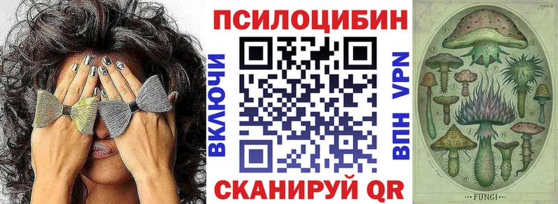 Псилоцибиновые грибы Cubensis  Аша 