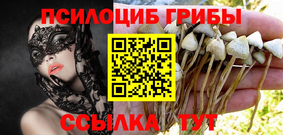 Галлюциногенные грибы GOLDEN TEACHER  Псилоцибиновые грибы прущие грибы  Аша  Вход с VPN 